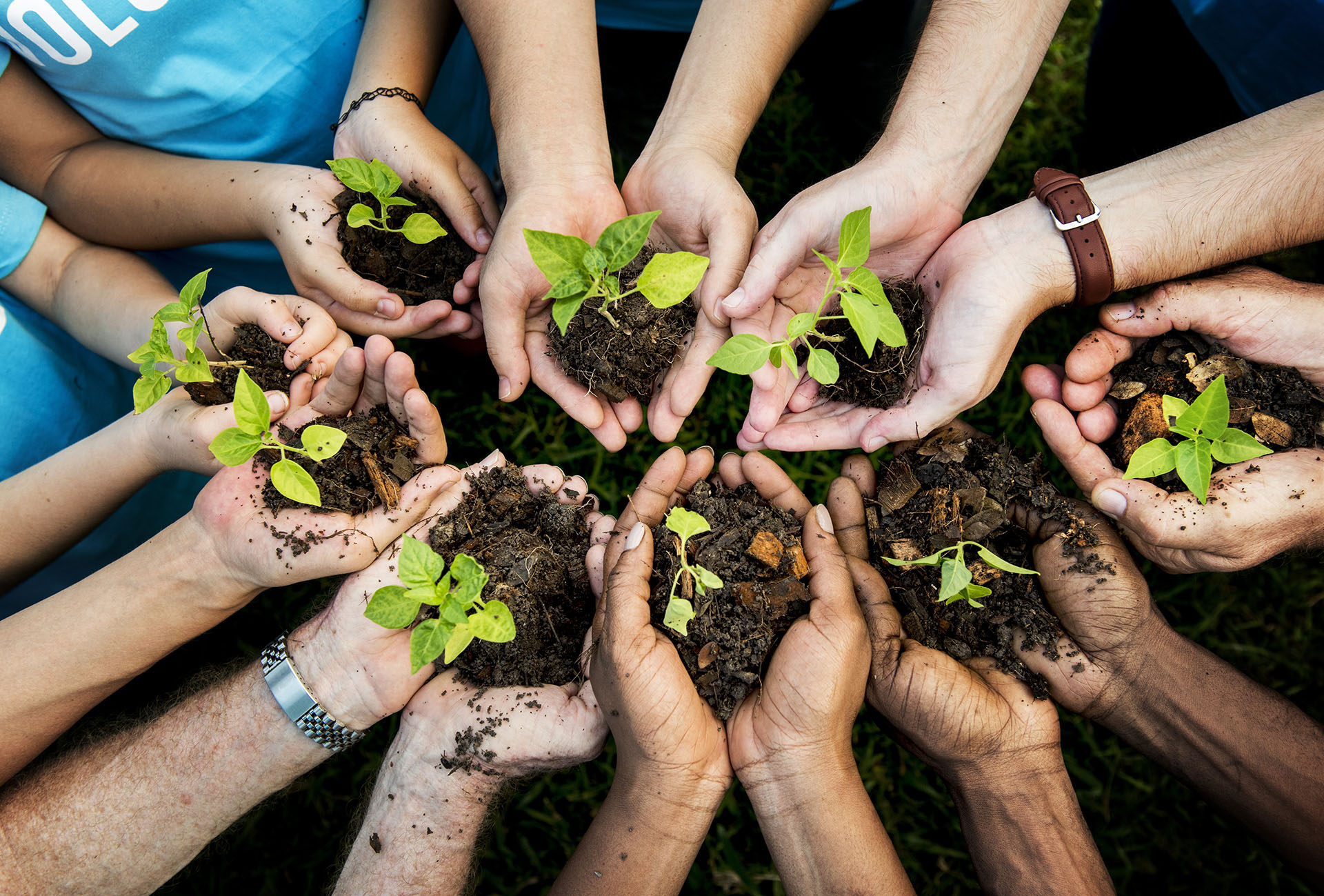 Community planting projects