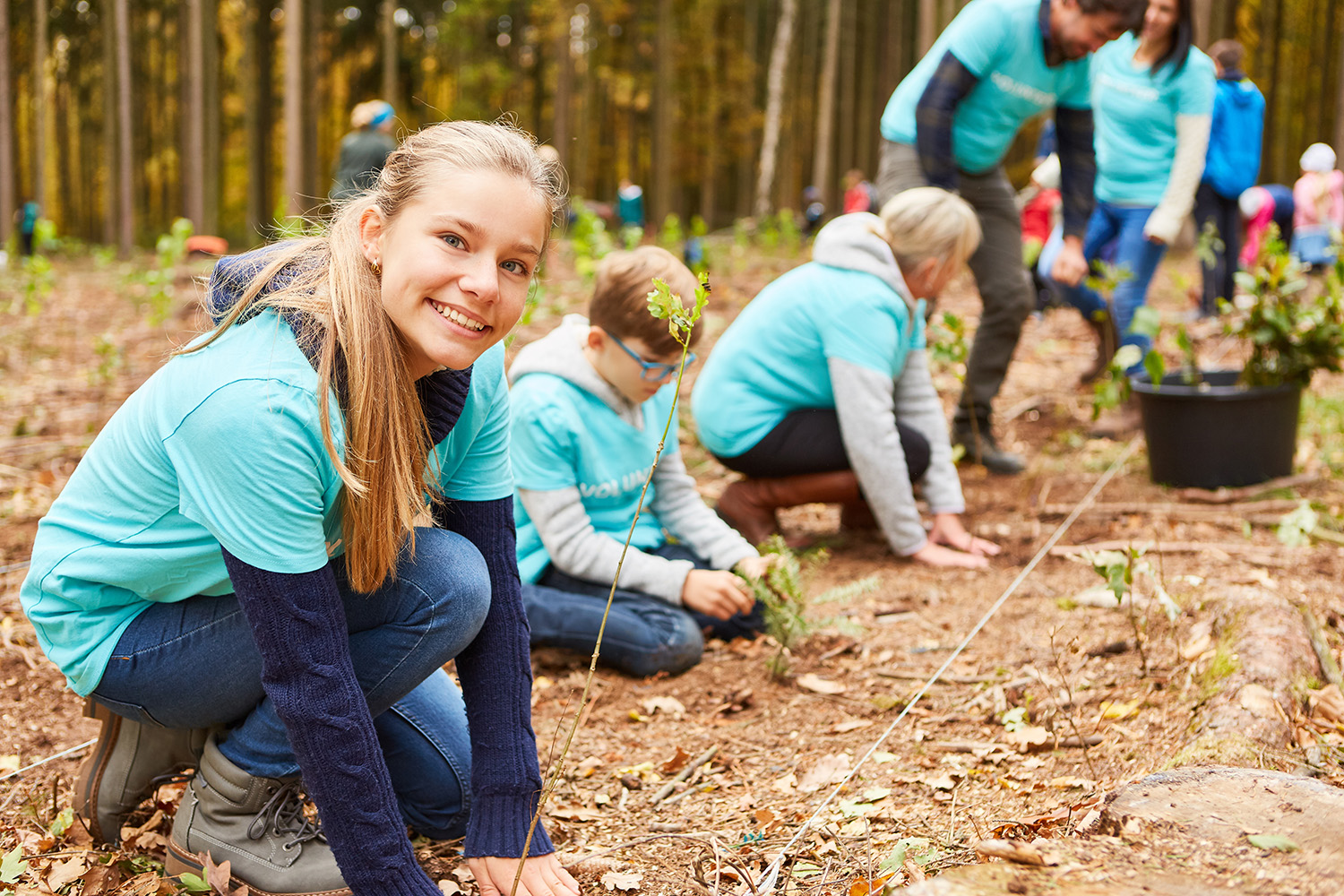 Food forest planting party